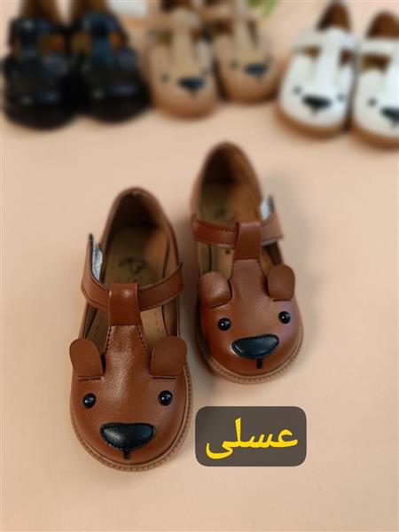 کفش تدی