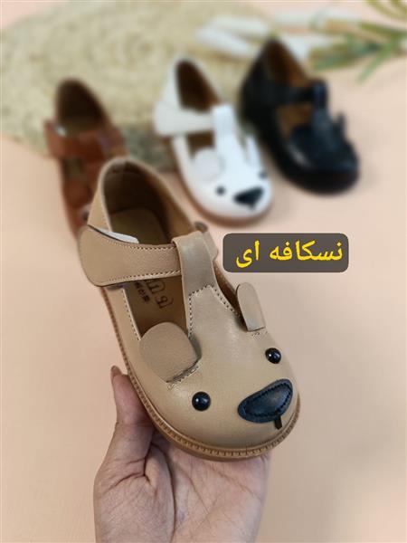 کفش تدی