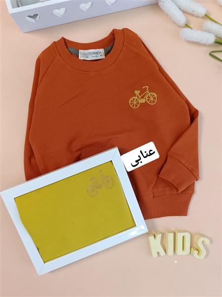 دورس bike