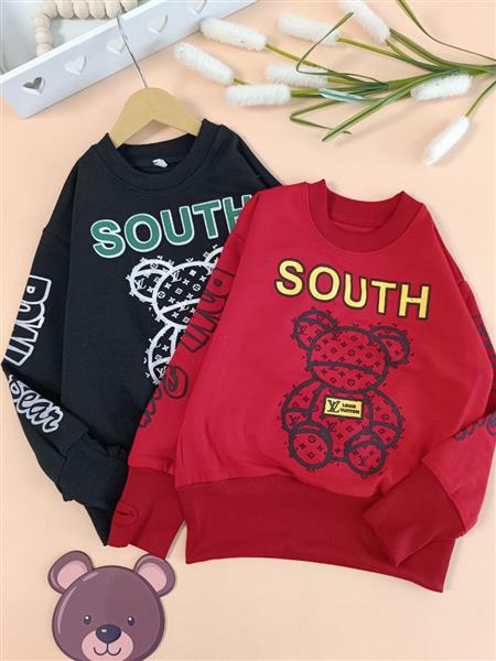 بلوزتک southbear