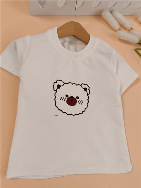 سه تیکه teddy boom