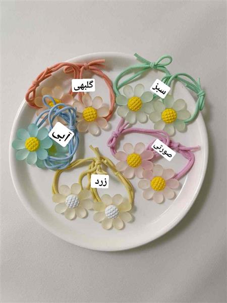 کش آفتابگردون