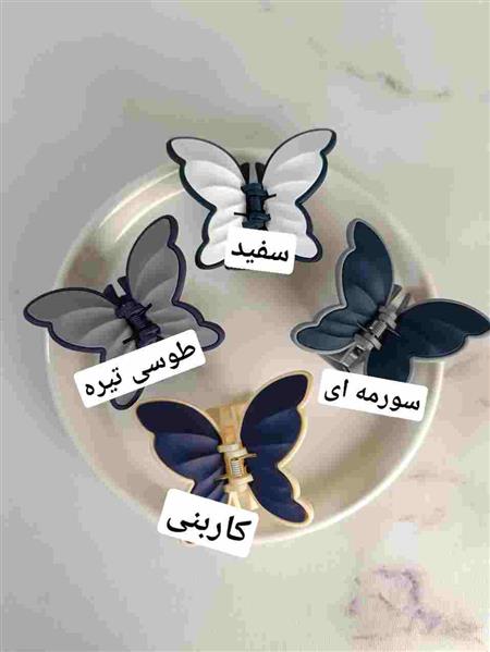 گیره پروانه دو رنگ