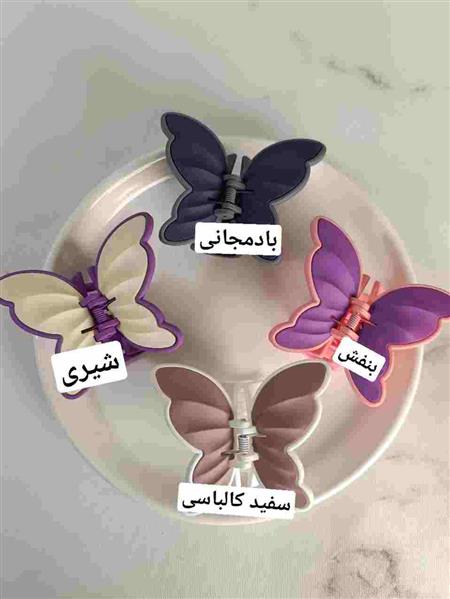 گیره پروانه دو رنگ