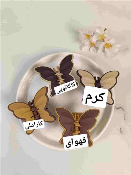 گیره پروانه دو رنگ