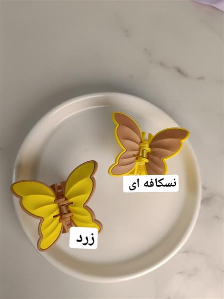 گیره پروانه دو رنگ