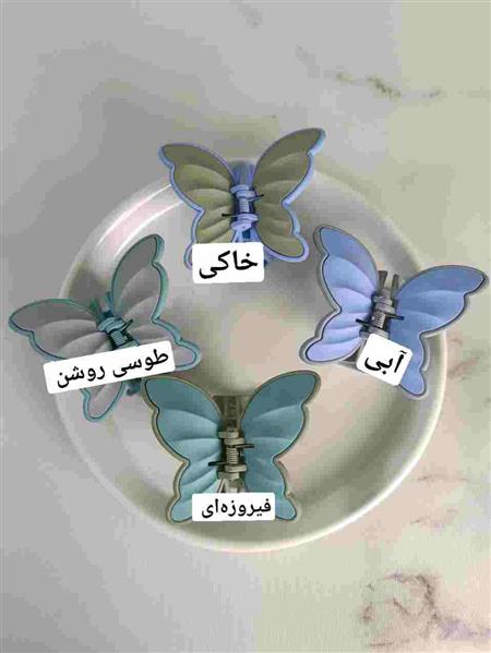 گیره پروانه دو رنگ