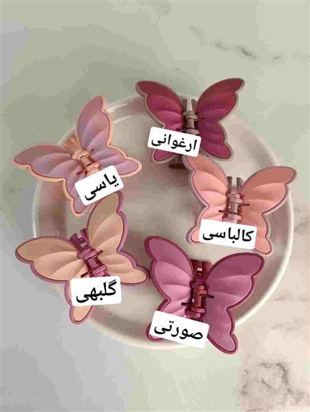 گیره پروانه دو رنگ