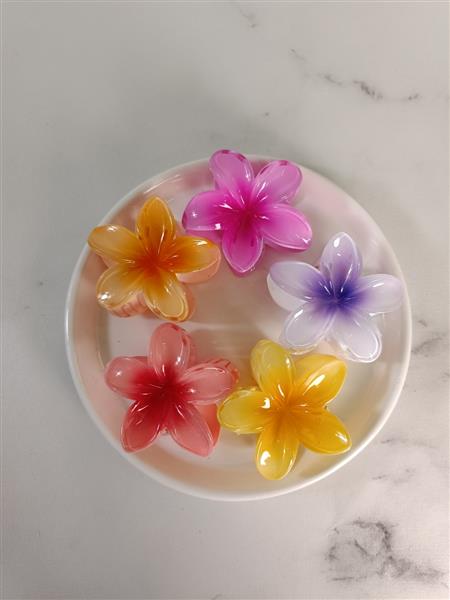 گیره لیلیوم بزرگ