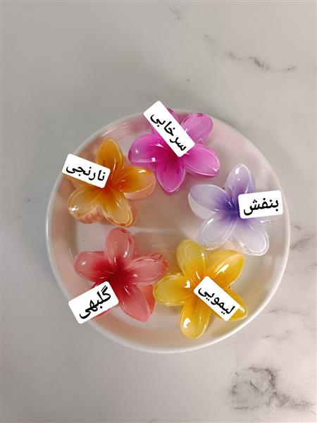 گیره لیلیوم بزرگ