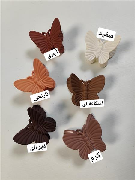 کلیپس شاپرک