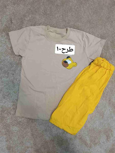 رگال مورد دار (زدگی و لک) 