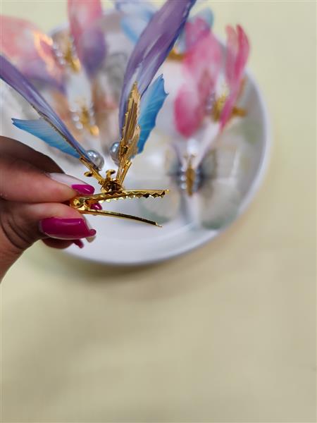 گیره پروانه 