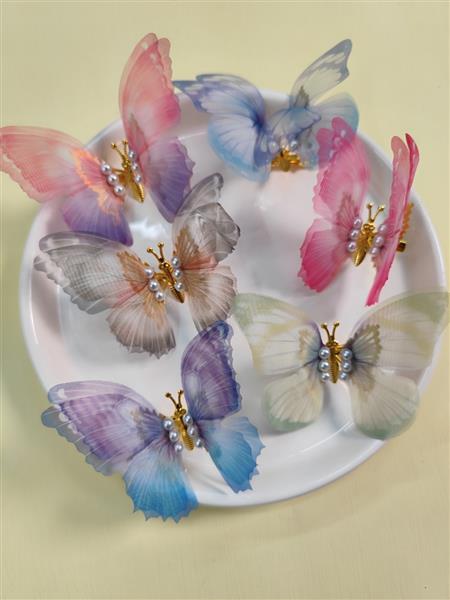 گیره پروانه 