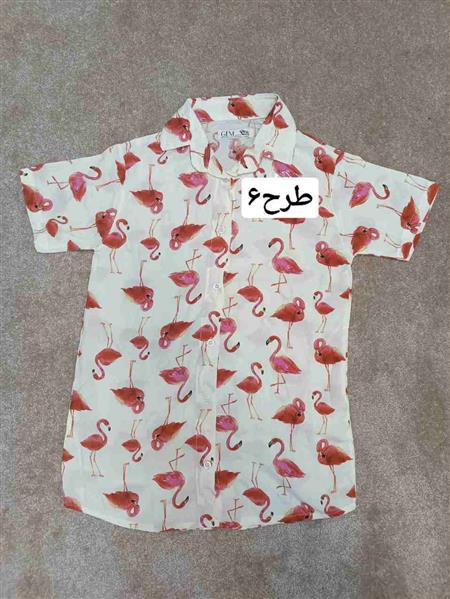 رگال تیشرت ۹