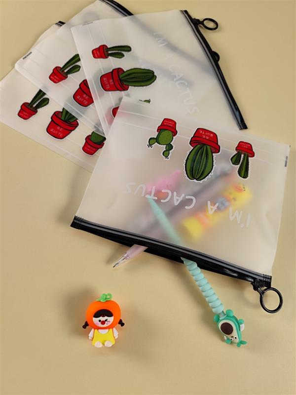 جامدادی کاکتوس