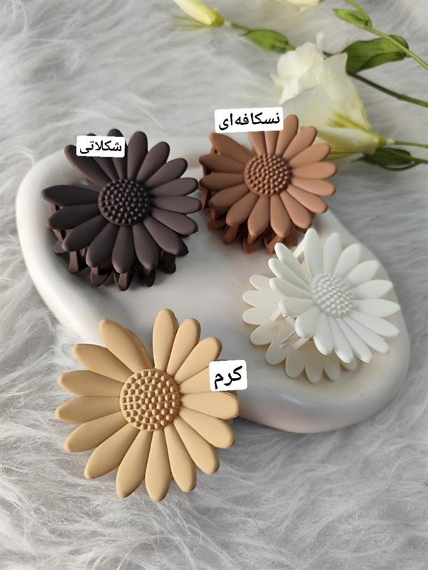 گیره آفتابگردان 