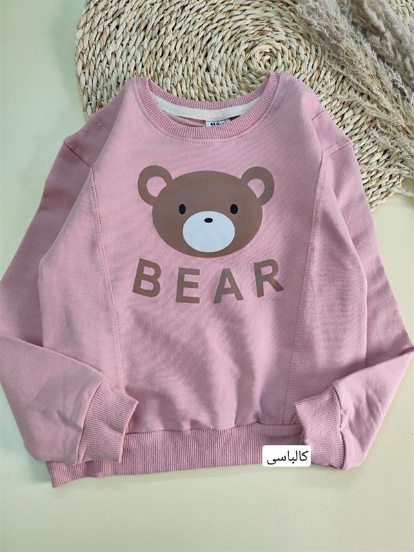 بلوز تک Brown bear