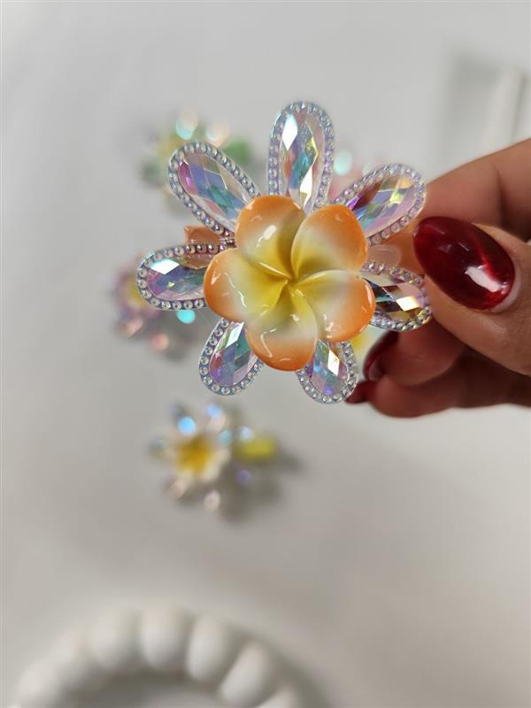 گیره گل و الماس (جفتی)