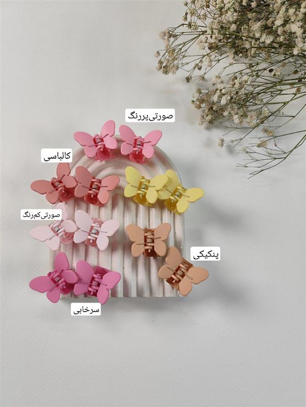 کلیپس کوچک پروانه ای (جفتی)