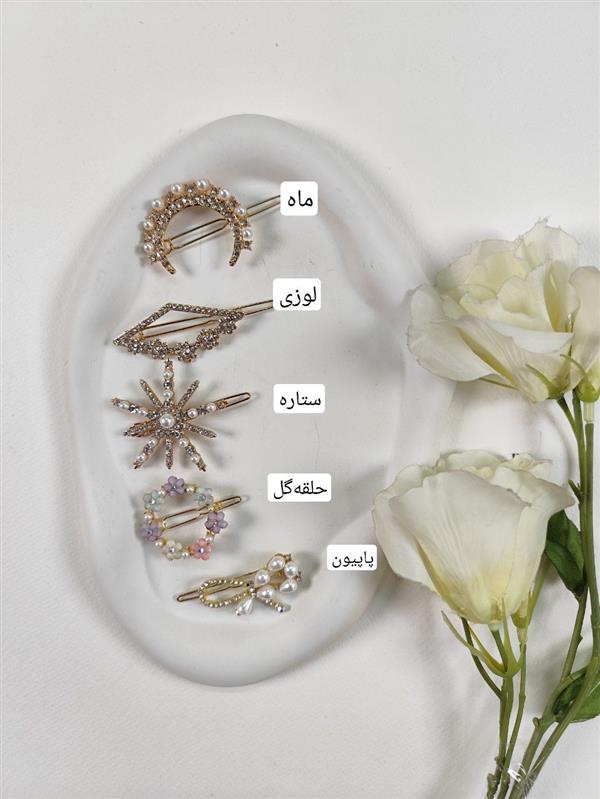 گیره انبری مجلسی 