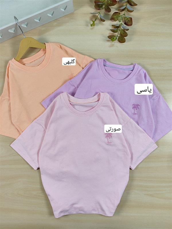 تیشرت تک مدادرنگی