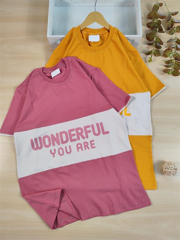 تیشرت تک Wonderful 