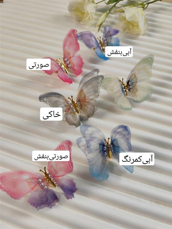 گیره پروانه زیبا