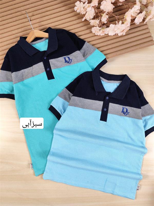 تیشرت تک Dior رنگی 