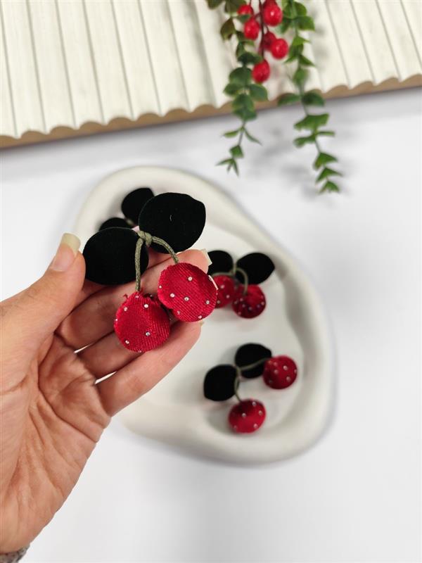 گیره جفتی گیلاس نگینی 