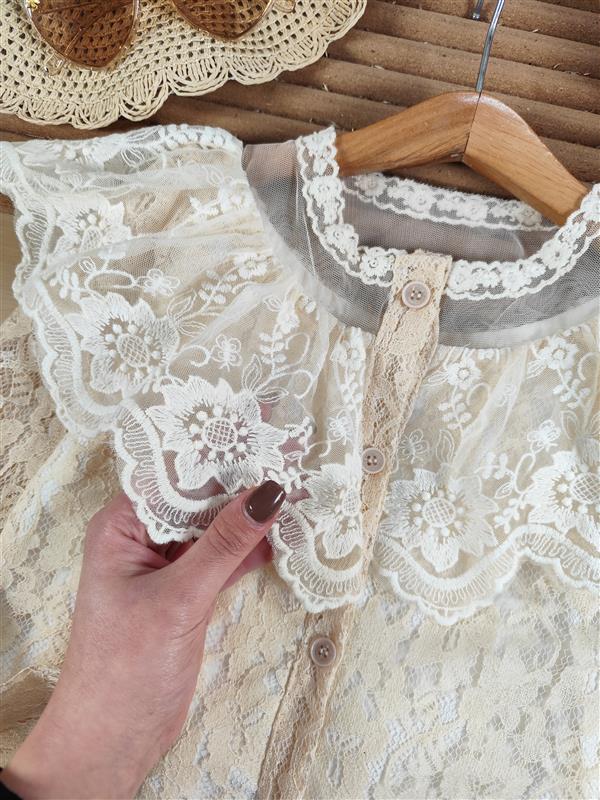 شومیز تک نبات