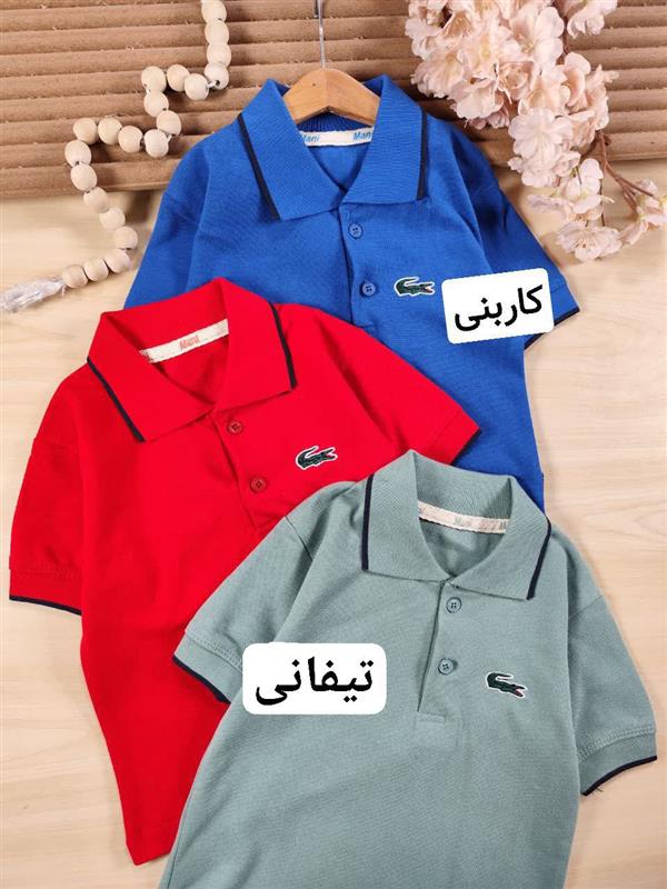 تیشرت جودون مانی 
