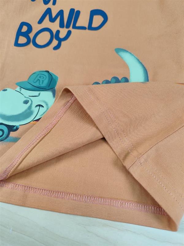 تیشرت شلوارک mild boy