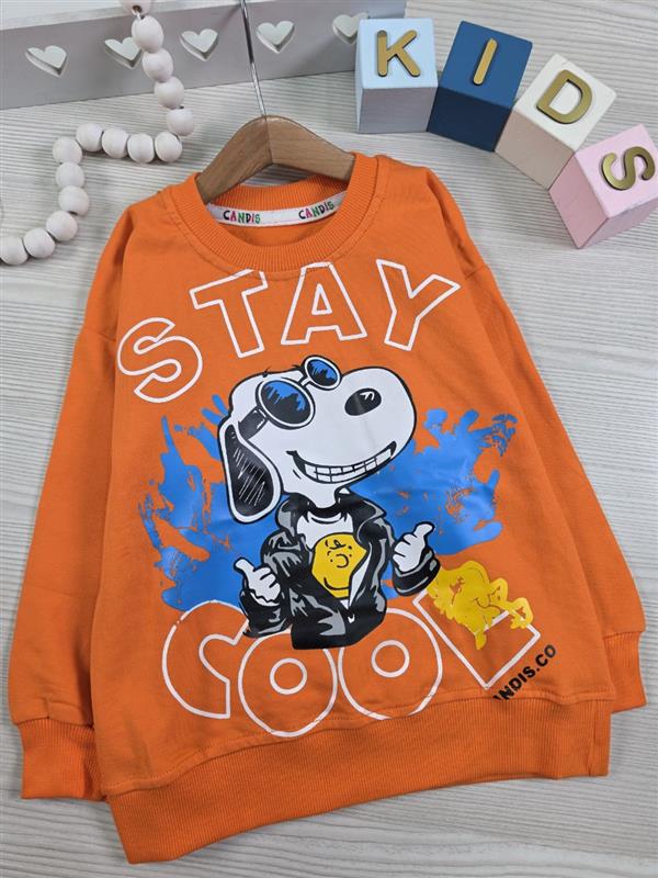 بلوز تک هاپو stay - تصویر 6