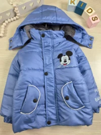کاپشن mouse