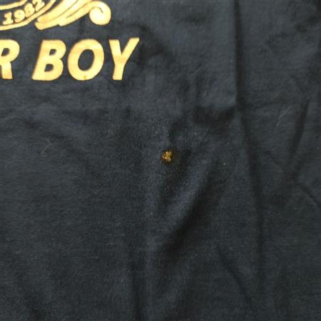 تیشرت شلوار Victor boy تکسایز