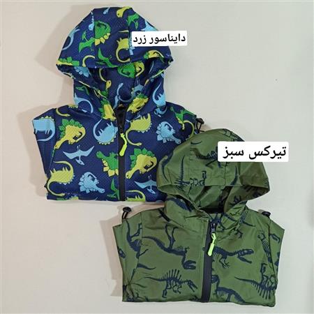 بارونی پسرانه