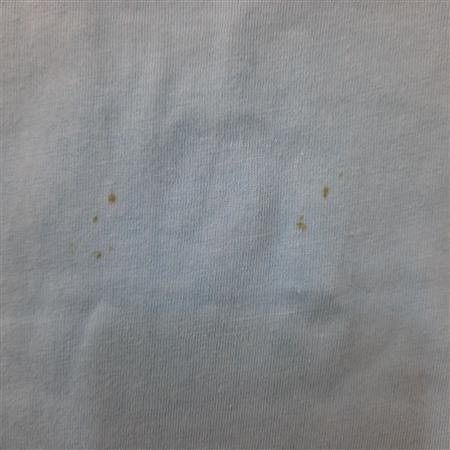 تیشرت شلوارک آبی shine تکسایز
