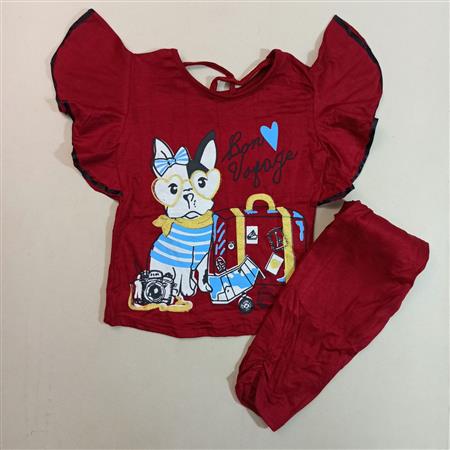 تیشرت شلوارک گربه و دوربین