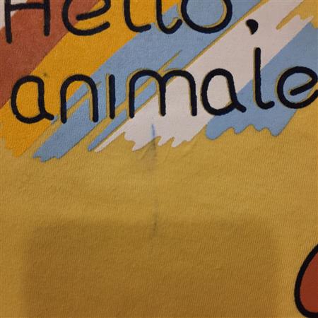 تیشرت شلوار Hello animal تکسایز