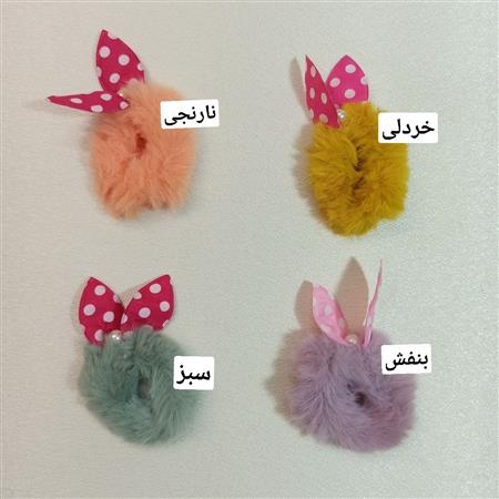 کش پولیشی پاپیونی