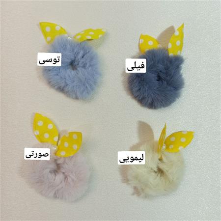 کش پولیشی پاپیونی