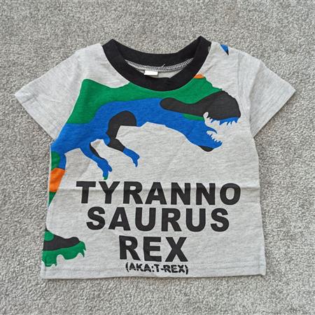 تیشرت توسی دایناسور T-REX تکسایز
