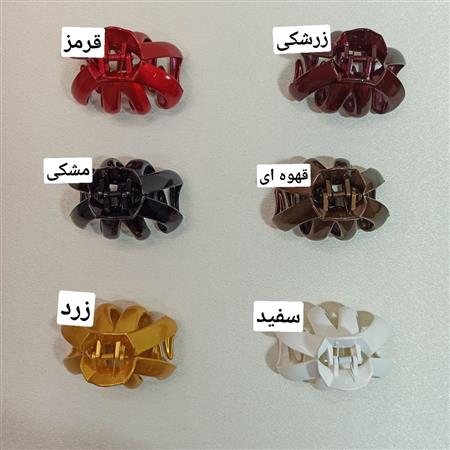 کلیپس زنانه