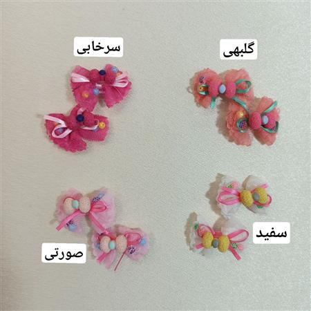گیره جفتی ملوسک