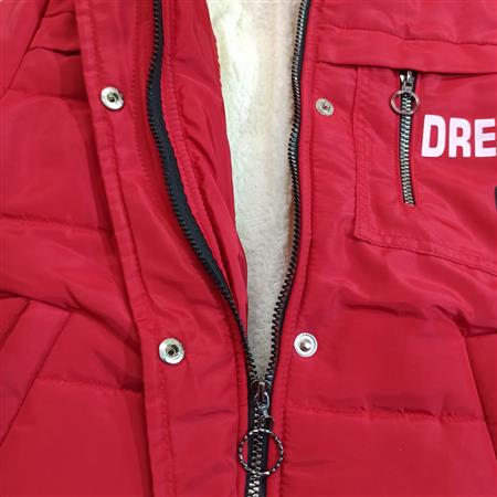 کاپشن Dream on
