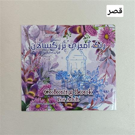 رنگ آمیزی بزرگسال