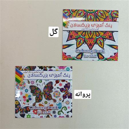 رنگ آمیزی بزرگسال