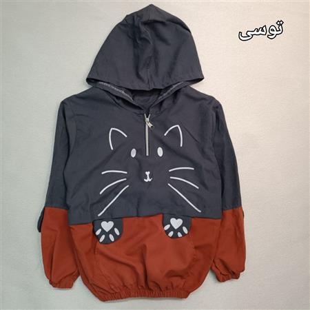 هودی تک میکرو گربه