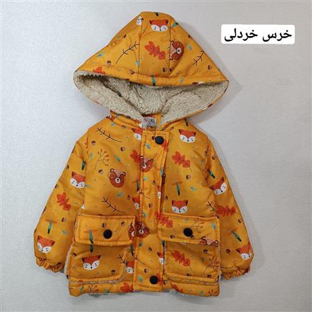 کاپشن خرس و جنگل